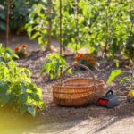 15f0f51ede0fbc3da70b099cfffd570a