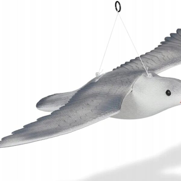 0f42c72dbeb4a23f577d3a078bcea8c8