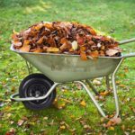 1196d7fe63211524fe3a479b983ad559