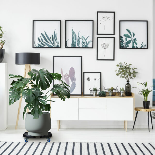 b65263d1eefdcff93376e796c63108c7