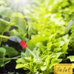 a7f12830dfab28c18fbb7f2c6d8ef39e