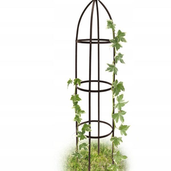 ac5b9f2253a147cde03146c236d9457b