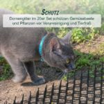 dce7c626ab280241d4b8beb4abb21922