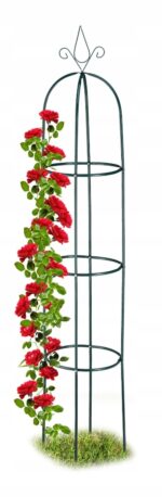 1d5ab1601e2febd95e4575cd9c8c78a6