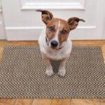 9ec8116a156980d37a2281e6b6307a6b