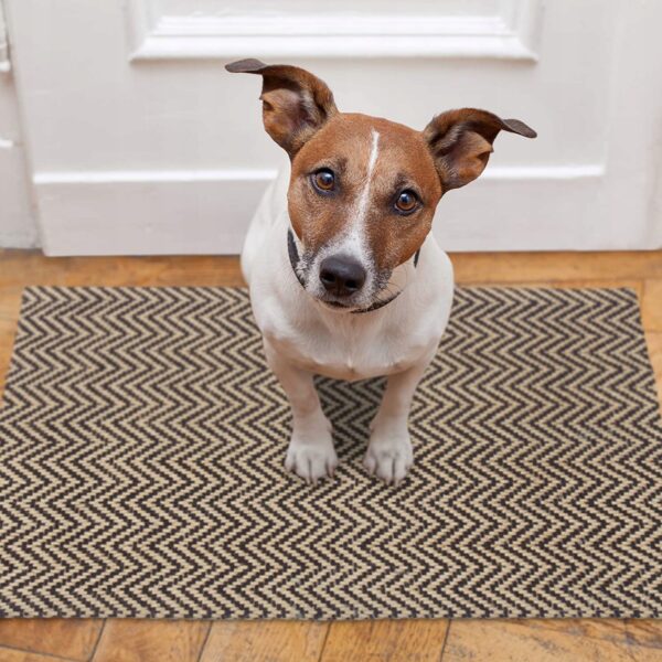 9ec8116a156980d37a2281e6b6307a6b