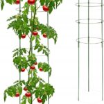 49b70dc031a2240af31c55d7989f8e46