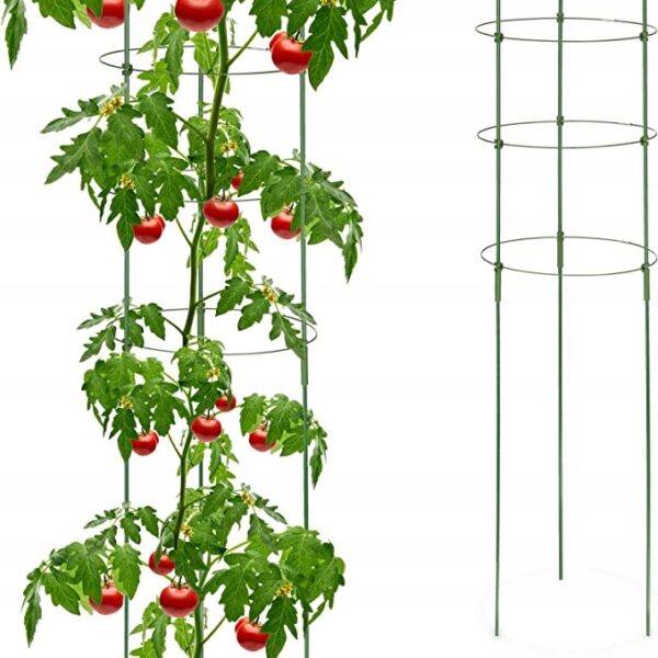 49b70dc031a2240af31c55d7989f8e46