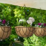 0bb29afdd6cbeb075fb83bac7276d006