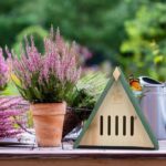 04a214fa9e6b5a8c605cf86864863ae7