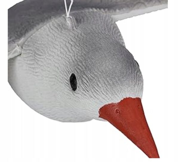 0082756637b463e17a36f58981403a8f