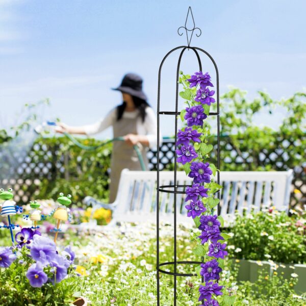 2ae165c089443f10fc4827f053160164