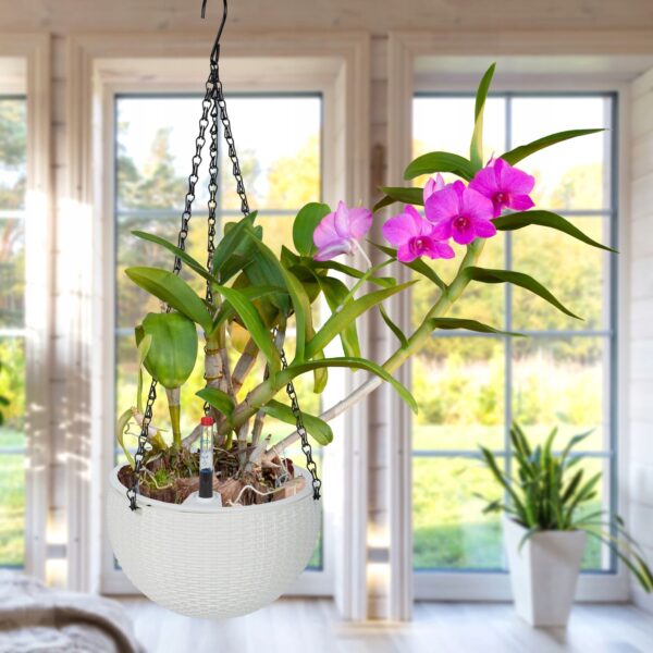 2e5eb49c5abcafe159a3533ba9b4d759