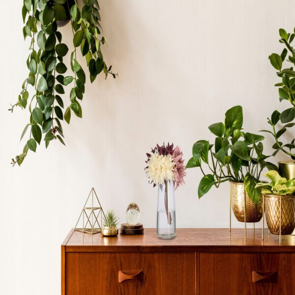 6ca49fa4c65730f374886eb218718fa4