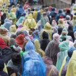 a24e184ef6502b5a17824c7151ae5c84