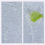 69e767fef2988e4ad800a986ed7698aa