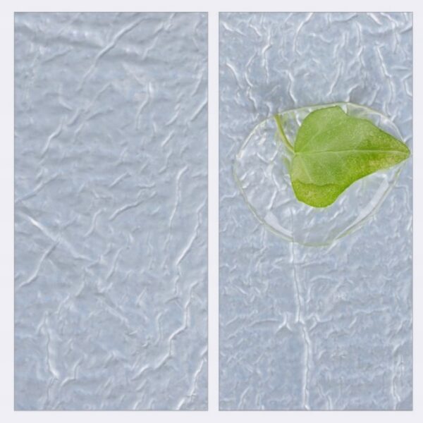 69e767fef2988e4ad800a986ed7698aa