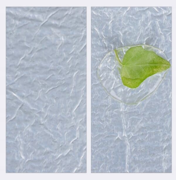 69e767fef2988e4ad800a986ed7698aa