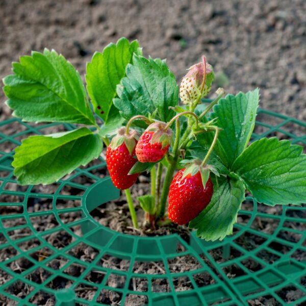 0861cc345e6fbcccdcf8cf0ca0fde044