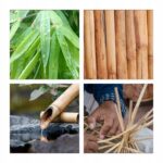 b2e513c3955b177753d425f876d723a0