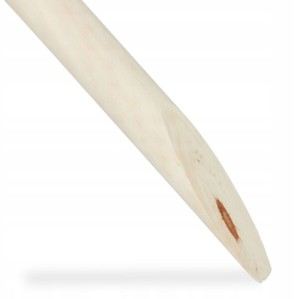 b1acf594cfe421b2b6b7783855609696