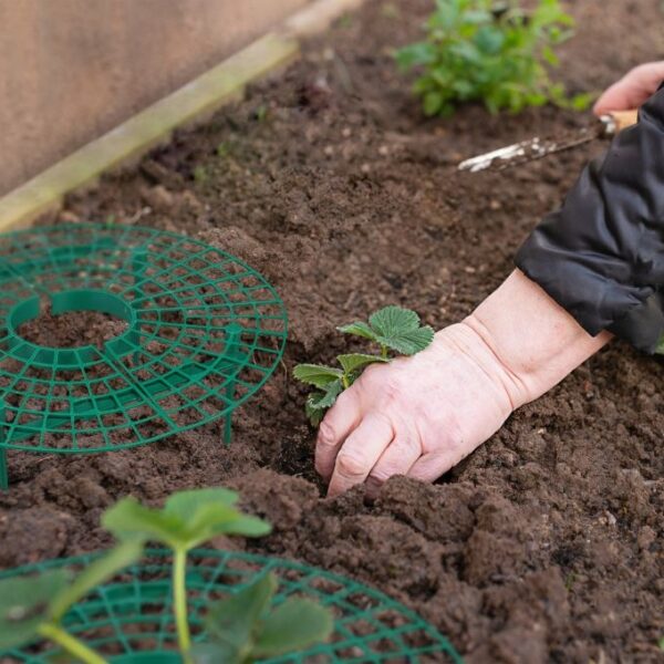 913ed08b9c59b277a3b8076f02a05236