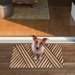 38a0d5ecf6d367108d8e1ca852476ed9