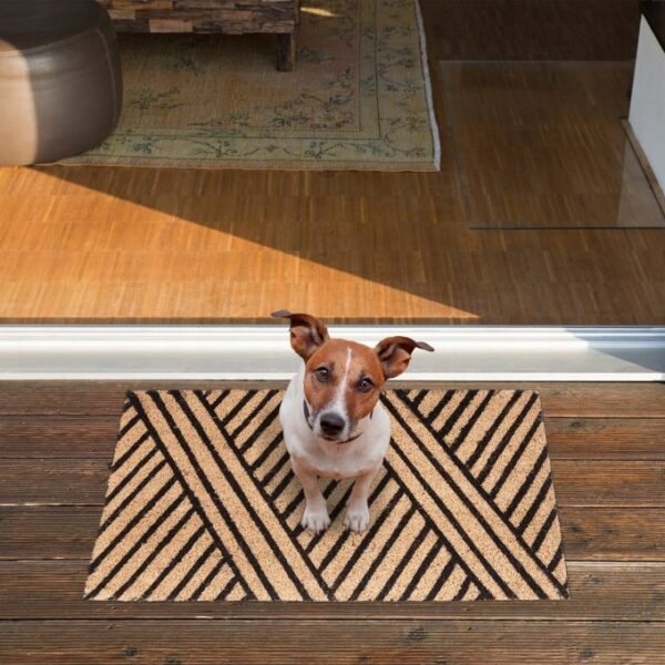 38a0d5ecf6d367108d8e1ca852476ed9