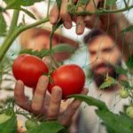 0b6c328596bf46f17823a264f4b25523