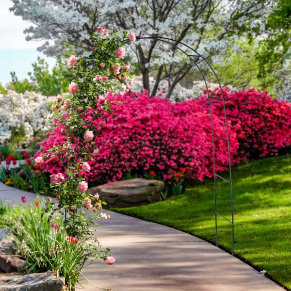 3f4f631dea0bec923dc209ba2ba4f546