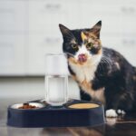 dc364a7f26e3919c70fe641a988c6414