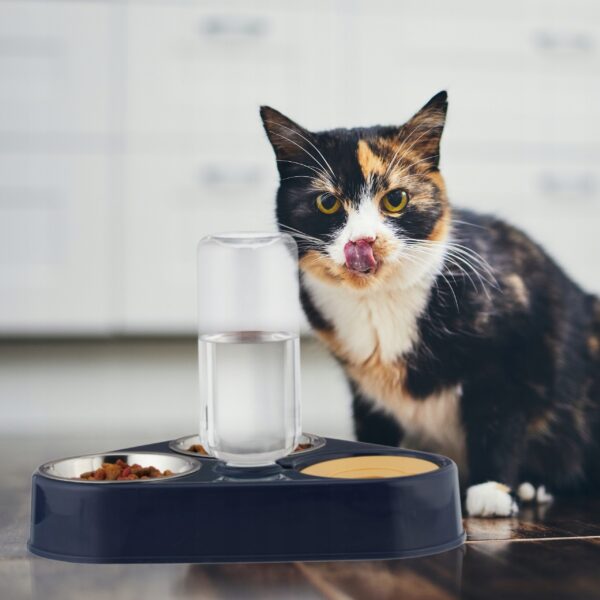 dc364a7f26e3919c70fe641a988c6414