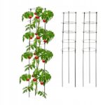 7881d53d3819d224bf1b5819c2b780c9