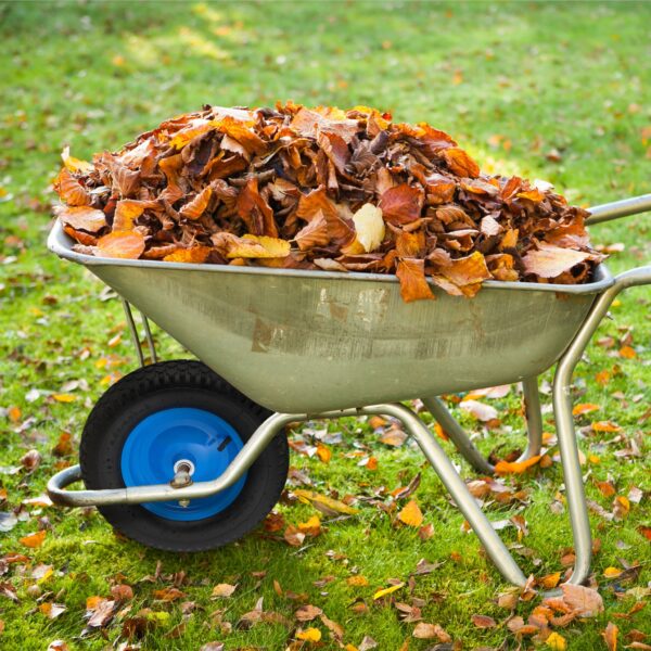 603ecdf524ed37757dbe20f5114f6ac9