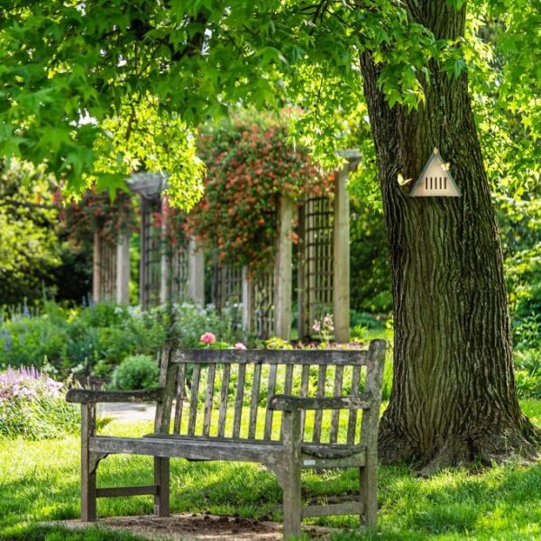 34845ac46c6e611a7880858e016166b6