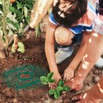 dd6ffcc0ccc2d39d7bfb1fc7ce2f773f