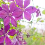 017b2ecbda030cf76bc39fb902cfa465