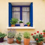 acbff9a0ba72c2569aec423e13ceecc8