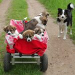 72a04e24ba506aca8c7819f1d7b93802