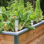 558e4d7f324cec789dcb92c3c544be43