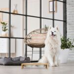 381b790e58d91c0b9944f85143d5405f