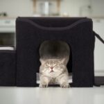 49dc4fd44b8b26641344b3f724976c5a