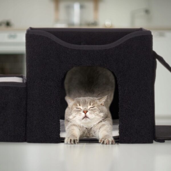 49dc4fd44b8b26641344b3f724976c5a