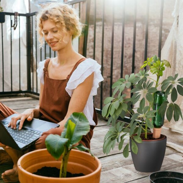 ff4024e38878c672541c7f3a887ef351