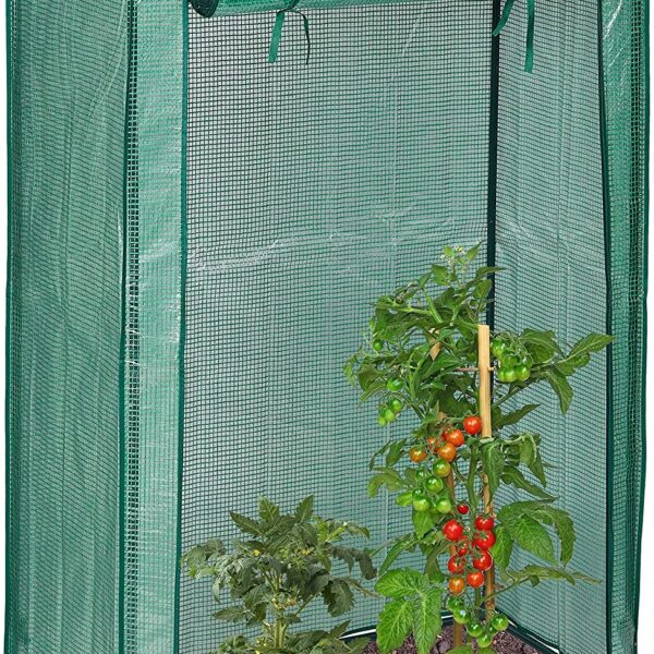 1112e338a62a3b75101b991a5a5033c7