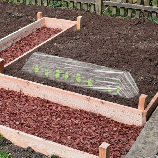 9808419fd6df81ce18f23b867445c7b1