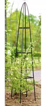 2606014627e639e1387ce42cbd80da61