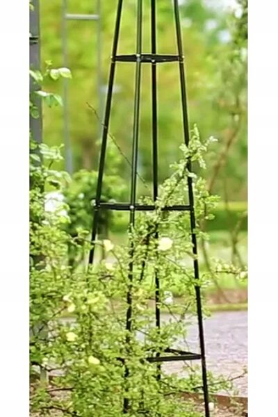 2606014627e639e1387ce42cbd80da61