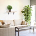 92ebc01d0871e0916e3c3ba796e94e10