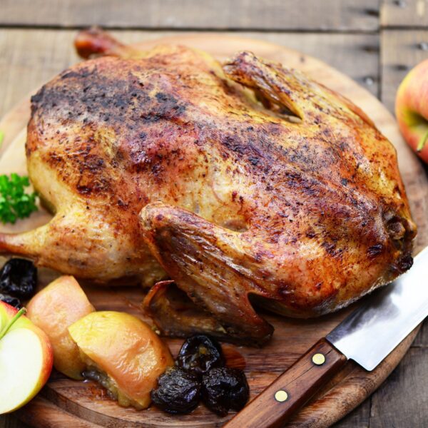 330415420184358254dfce718c355357